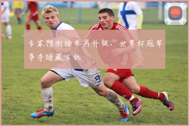 专家预测榜单再升级，世界杯冠军争夺暗藏玄机