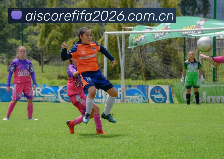 2026世界杯使命愿景